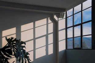 室内窗边光影与绿植景观