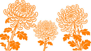 橙色菊花矢量图案