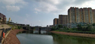 河畔城市风光