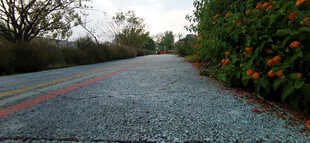 雨中湿润的多彩沥青道路
