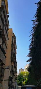 城市中林立的建筑与绿树