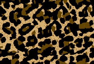 豹纹图案纹理背景