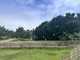 农村风景 田园摄影