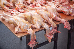 桌上摆放的新鲜生鸡肉