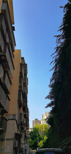 城市街道旁的建筑与树木