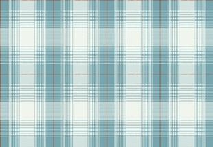 矢量蓝白格子纹理图案