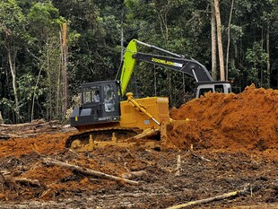 挖掘机作业于林地现场