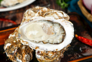 新鲜生蚝特写