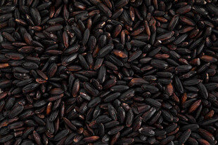 黑红色谷物颗粒特写