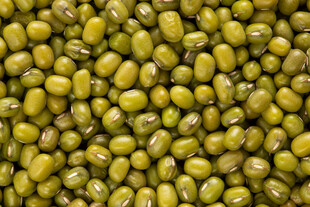 饱满绿豆特写