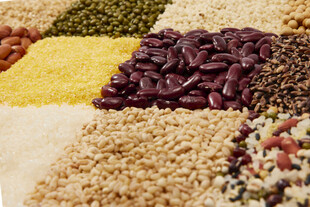 多样谷物豆类展示