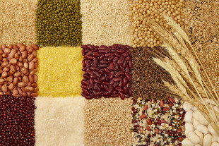 多彩谷物拼图展示多样食材