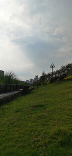 郊外绿野与远处建筑风景