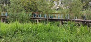 公园里的木质观景栈道
