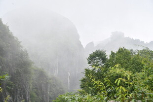 云雾缭绕的山林美景