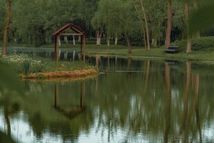 湖畔林间小亭的静谧景致