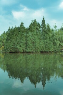宁静湖畔绿树倒影美景