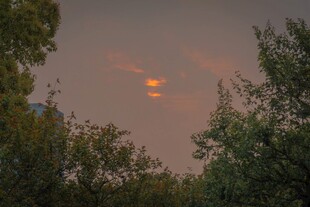 黄昏林间天空的美丽景象