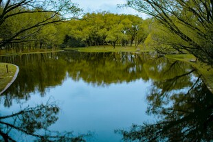 宁静湖畔风光