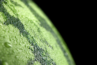 翠绿西瓜表面的水珠特写