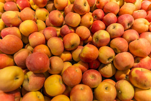 饱满色泽诱人的新鲜苹果