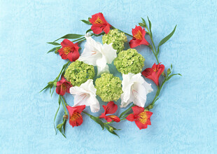 花卉与绿植的创意组合