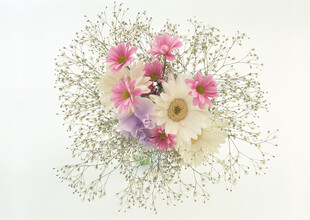 多彩鲜花组合 清新雅致