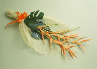 橙色花卉装饰与绿叶组合