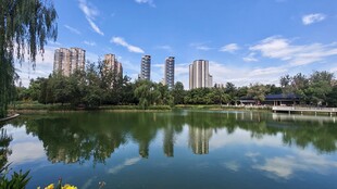 湖水