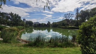 湖畔自然风光美景