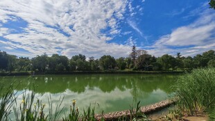 湖畔美景 蓝天白云绿树环绕