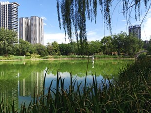城市湖畔美景