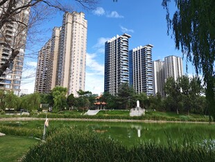 城市中的绿地与高楼景观