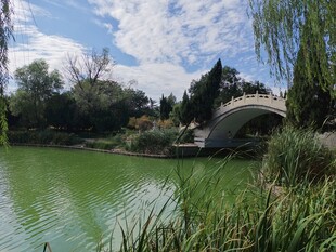 湖畔石桥风景
