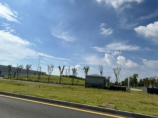 公路旁的开阔绿地景观