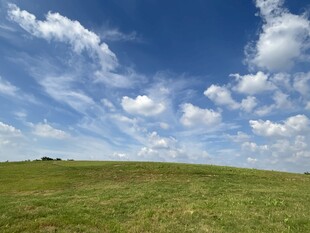 辽阔草原上的蓝天白云