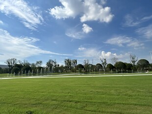 蓝天白云下的绿茵草地