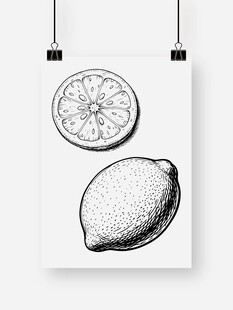 手绘柠檬插画