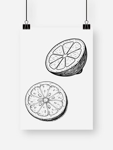 黑白柠檬切片插画