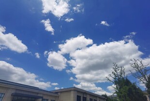 蓝天白云下的建筑风景