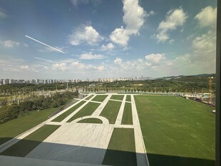 城市开阔绿地景观