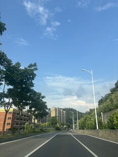 宽阔公路旁绿树蓝天相伴