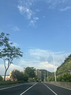 宽阔公路旁的清新风景
