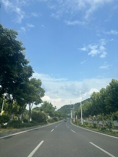 宽阔公路旁绿树蓝天白云