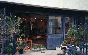 温馨绿植小店外观