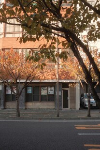 秋日街边建筑与树木景观