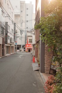 阳光照耀下的静谧小巷