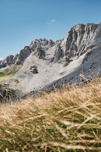 高山草甸美景