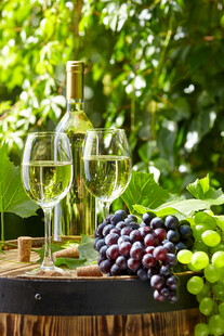 葡萄酒 