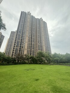 高楼前的翠绿草坪